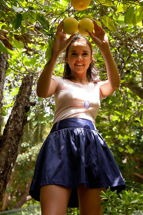 Zishy invite you to explore free photos featuring Dillion Harper showing superb form